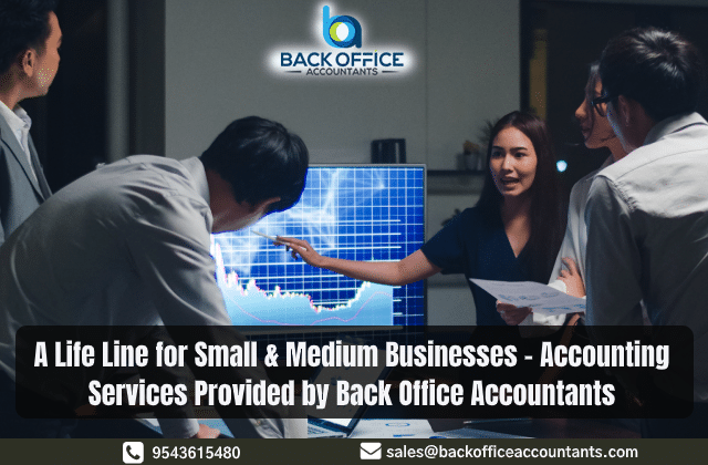 A Life Line for Small & Medium Businesses - Accounting Services Provided by Back Office Accountants