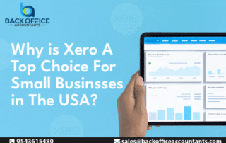 Why is Xero A Top Choice For Small Businesses in The USA