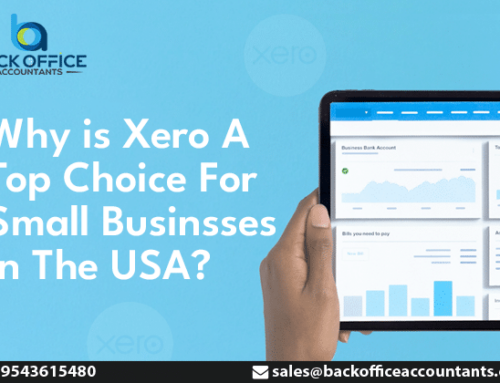 Why is Xero A Top Choice For Small Businesses in The USA?