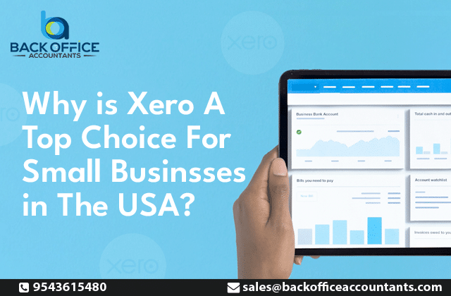 Why is Xero A Top Choice For Small Businesses in The USA